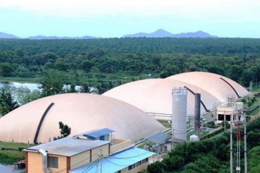 Southeast Asian Countries Shift to Biogas from Palm Oil Mill Effluent